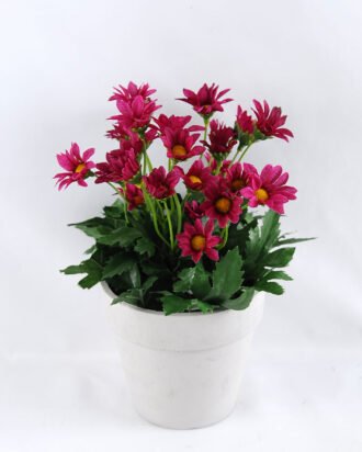 Artificial Flower 15*15*22cm Daisy in Paper pot GS-03319123-Z2
