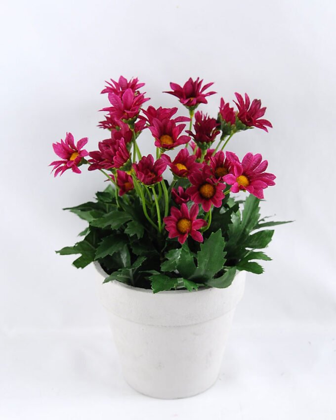 Artificial Flower 15*15*22cm Daisy in Paper pot GS-03319123-Z2