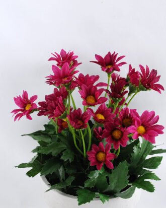 Artificial Flower 15*15*22cm Daisy in Paper pot GS-03319123-Z2