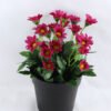 Artificial Flower 15*15*22cm Daisy in Paper pot GS-03319123-Z2