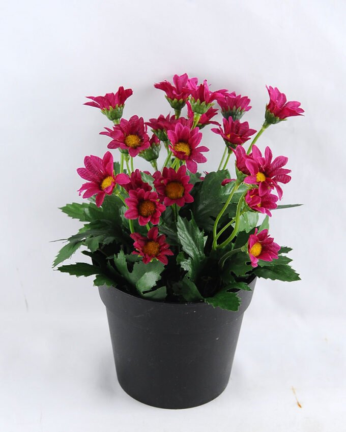 Artificial Flower 15*15*22cm Daisy in Paper pot GS-03319123-Z2