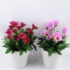 Artificial Flower 13*13*19cm Daisy in Paper pot GS-03319124-Z1