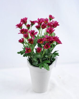 Artificial Flower 16*16*29cm Daisy in Paper pot GS-03319126-Z2