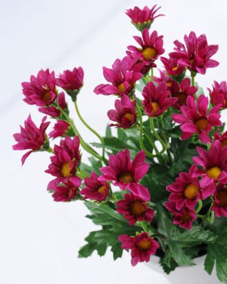 Artificial Flower 16*16*29cm Daisy in Paper pot GS-03319126-Z2