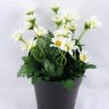 Artificial Flower 14*14*20cm Daisy in Plastic pot GS-03319122-W1