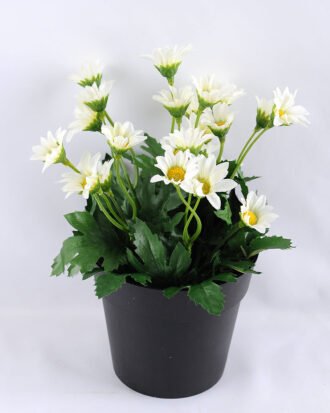 Artificial Flower 14*14*20cm Daisy in Plastic pot GS-03319122-W1