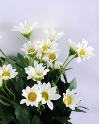Artificial Flower 14*14*20cm Daisy in Plastic pot GS-03319122-W1