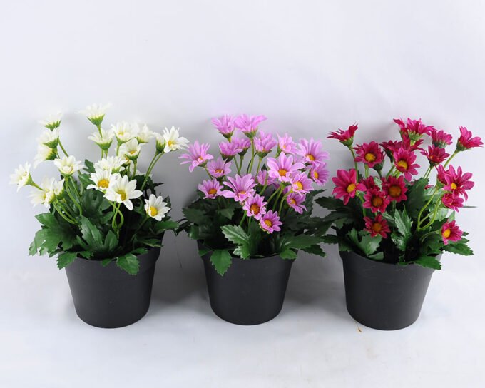 Artificial Flower 14*14*20cm Daisy in Plastic pot GS-03319122-W1