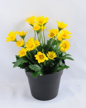 Artificial Flower 14*14*20cm Daisy in Plastic pot GS-03319122-Y1