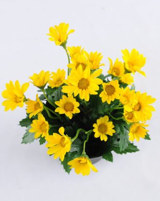 Artificial Flower 14*14*20cm Daisy in Plastic pot GS-03319122-Y1