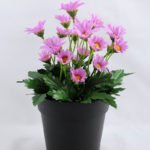 Artificial Flower 14*14*20cm Daisy in Plastic pot GS-03319122-Z1
