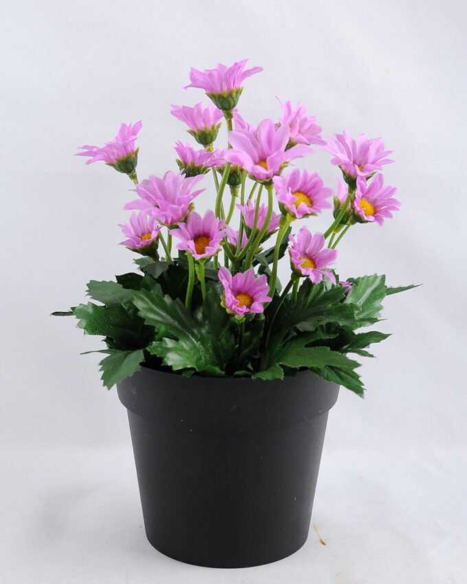 Artificial Flower 14*14*20cm Daisy in Plastic pot GS-03319122-Z1 1 Artificial Flower 14*14*20cm Daisy in Plastic pot GS-03319122-Z1