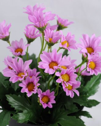Artificial Flower 14*14*20cm Daisy in Plastic pot GS-03319122-Z1