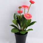 Artificial Flower 17*17*33cm Daisy in plastic GS-03319181-P1