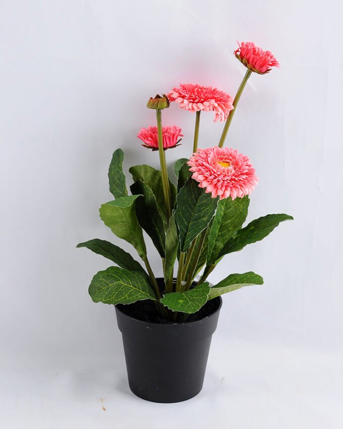 Artificial Flower 17*17*33cm Daisy in plastic GS-03319181-P1 1 Artificial Flower 17*17*33cm Daisy in plastic GS-03319181-P1