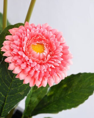 Artificial Flower 17*17*33cm Daisy in plastic GS-03319181-P1 Potted Flowers&Plants YeahFlower is one of Chinese leading OEM manufacturers and exporters , supplying the silk flowers, wholesale artificial trees Artificial Flower 17*17*33cm Daisy in plastic GS-03319181-P1