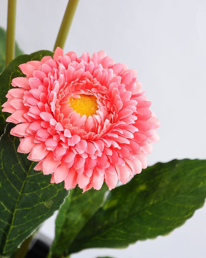 Artificial Flower 17*17*33cm Daisy in plastic GS-03319181-P1 2 Artificial Flower 17*17*33cm Daisy in plastic GS-03319181-P1