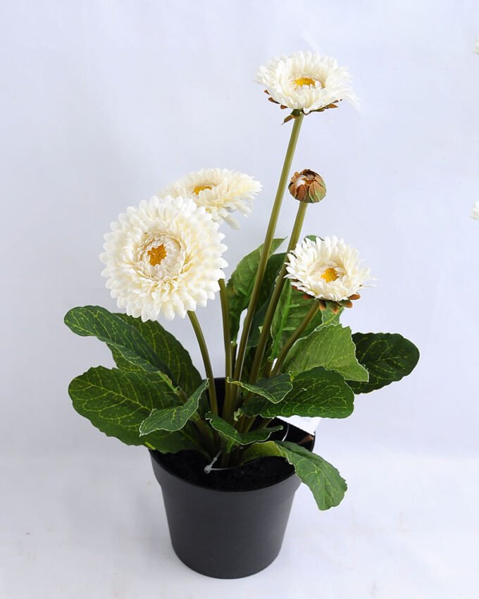 Artificial Flower 17*17*33cm Daisy in plastic GS-03319181-W1