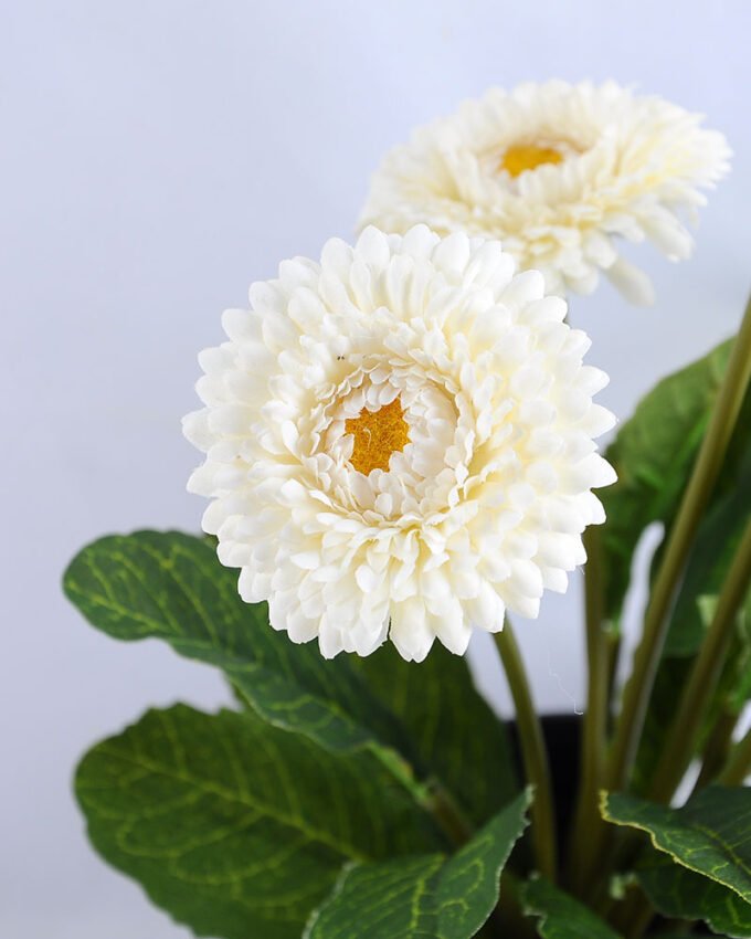 Artificial Flower 17*17*33cm Daisy in plastic GS-03319181-W1