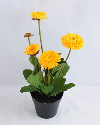 Artificial Flower 17*17*33cm Daisy in plastic GS-03319181-Y1