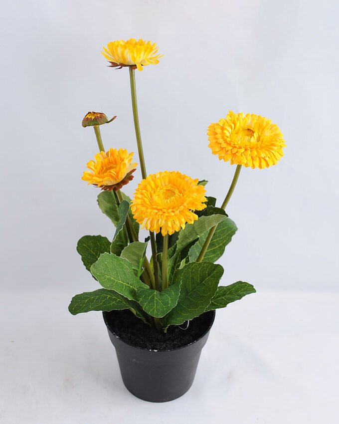 Artificial Flower 17*17*33cm Daisy in plastic GS-03319181-Y1
