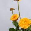 Artificial Flower 17*17*33cm Daisy in plastic GS-03319181-Y1