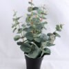 Artificial Flower 20*20*35.5cm Eucalyptus in Plastic pot GS-03319165