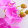 Artificial Flower 34*34*73CM Feeling butterfly orchid*3 GS-31319002-Z3 2 Artificial Flower 34*34*73CM Feeling butterfly orchid*3 GS-31319002-Z3
