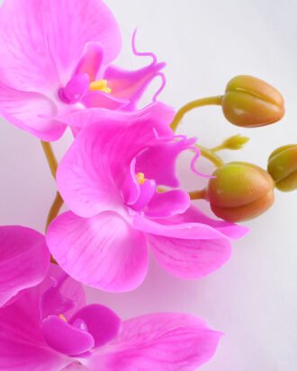 Artificial Flower 34*34*73CM Feeling butterfly orchid*3 GS-31319002-Z3 Single Flowers YeahFlower is one of Chinese leading OEM manufacturers and exporters , supplying the silk flowers, wholesale artificial trees Artificial Flower 34*34*73CM Feeling butterfly orchid*3 GS-31319002-Z3