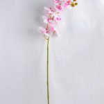 Artificial Flower 34*34*73CM Feeling butterfly orchid*3 GS-31319002-Z4