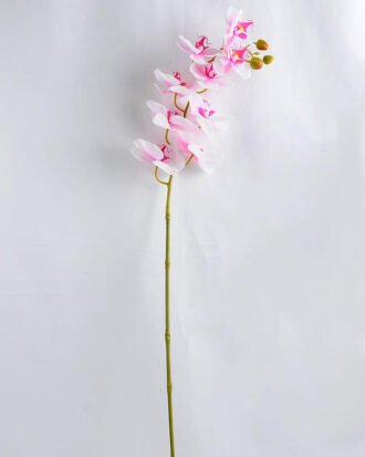 Artificial Flower 34*34*73CM Feeling butterfly orchid*3 GS-31319002-Z4 Single Flowers YeahFlower is one of Chinese leading OEM manufacturers and exporters , supplying the silk flowers, wholesale artificial trees Artificial Flower 34*34*73CM Feeling butterfly orchid*3 GS-31319002-Z4