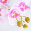 Artificial Flower 34*34*73CM Feeling butterfly orchid*3 GS-31319002-Z4