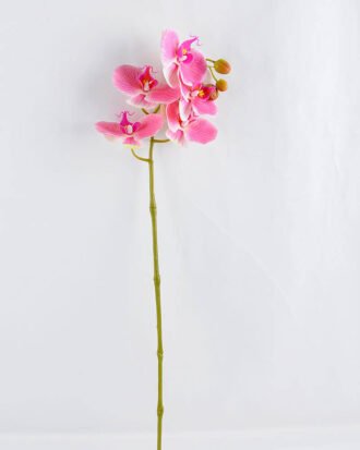 Artificial Flower 34*34*73CM Feeling butterfly orchid*3 GS-31319004-P1
