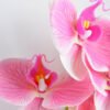 Artificial Flower 34*34*73CM Feeling butterfly orchid*3 GS-31319004-P1 2 Artificial Flower 34*34*73CM Feeling butterfly orchid*3 GS-31319004-P1