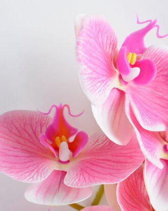 Artificial Flower 34*34*73CM Feeling butterfly orchid*3 GS-31319004-P1