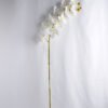 Artificial Flower 34*34*73CM Feeling butterfly orchid*3 GS-31319006-W1 1 Artificial Flower 34*34*73CM Feeling butterfly orchid*3 GS-31319006-W1