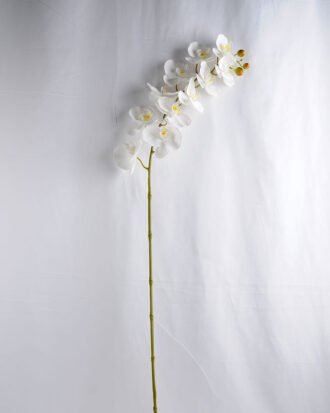 Artificial Flower 34*34*73CM Feeling butterfly orchid*3 GS-31319006-W1