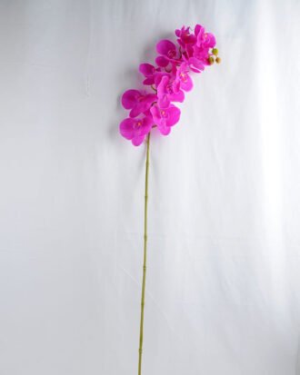 Artificial Flower 34*34*73CM Feeling butterfly orchid*3 GS-31319006-Z1 Single Flowers YeahFlower is one of Chinese leading OEM manufacturers and exporters , supplying the silk flowers, wholesale artificial trees Artificial Flower 34*34*73CM Feeling butterfly orchid*3 GS-31319006-Z1