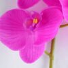 Artificial Flower 34*34*73CM Feeling butterfly orchid*3 GS-31319006-Z1 2 Artificial Flower 34*34*73CM Feeling butterfly orchid*3 GS-31319006-Z1