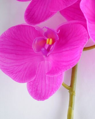 Artificial Flower 34*34*73CM Feeling butterfly orchid*3 GS-31319006-Z1 Single Flowers YeahFlower is one of Chinese leading OEM manufacturers and exporters , supplying the silk flowers, wholesale artificial trees Artificial Flower 34*34*73CM Feeling butterfly orchid*3 GS-31319006-Z1