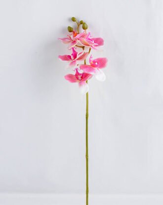 Artificial Flower 34*34*73CM Feeling butterfly orchid*3 GS-31319007
