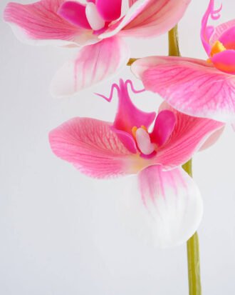 Artificial Flower 34*34*73CM Feeling butterfly orchid*3 GS-31319007