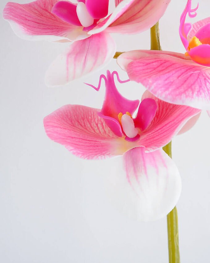 Artificial Flower 34*34*73CM Feeling butterfly orchid*3 GS-31319007