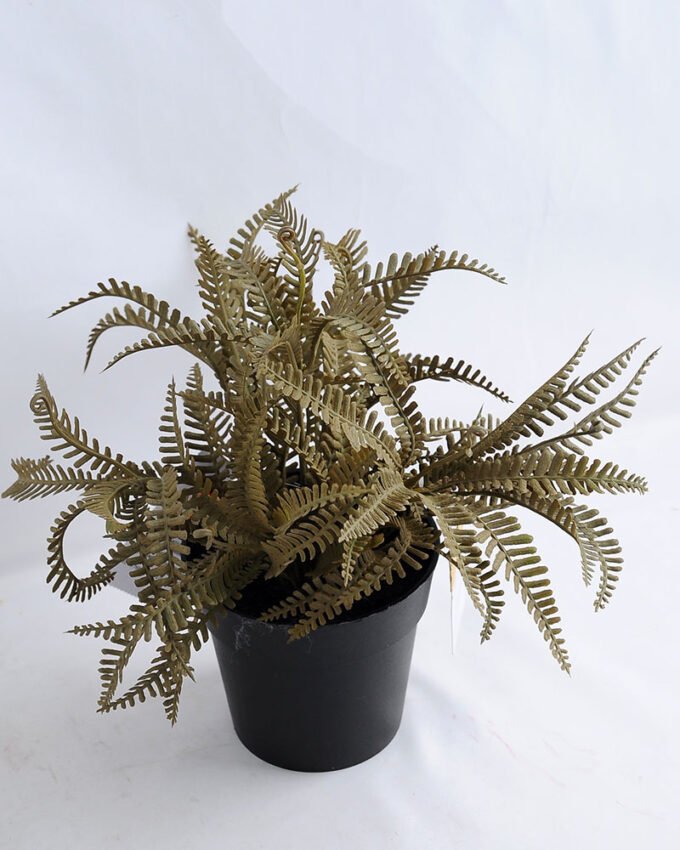 Artificial Flower 24*24*23cm Fern in Plastic pot GS-03319195-R2 1 Artificial Flower 24*24*23cm Fern in Plastic pot GS-03319195-R2