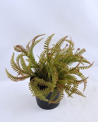 Artificial Flower 24*24*23cm Fern in Plastic pot GS-03319195-R2