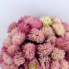 Artificial Flower D:11CM Flower ball GS-54019016