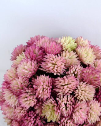 Artificial Flower D:11CM Flower ball GS-54019016