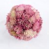 Artificial Flower D:7CM Flower ball GS-54019019-G1