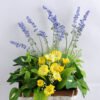 Artificial Flower 19*19*23cm Leaf Lavender in in Basket GS-03319091-Y1