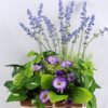 Artificial Flower 19*19*23cm Leaf Lavender in in Basket GS-03319091-Z1 1 Artificial Flower 19*19*23cm Leaf Lavender in in Basket GS-03319091-Z1